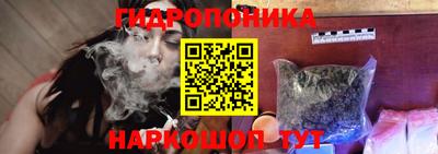 Альфа ПВП Аргун