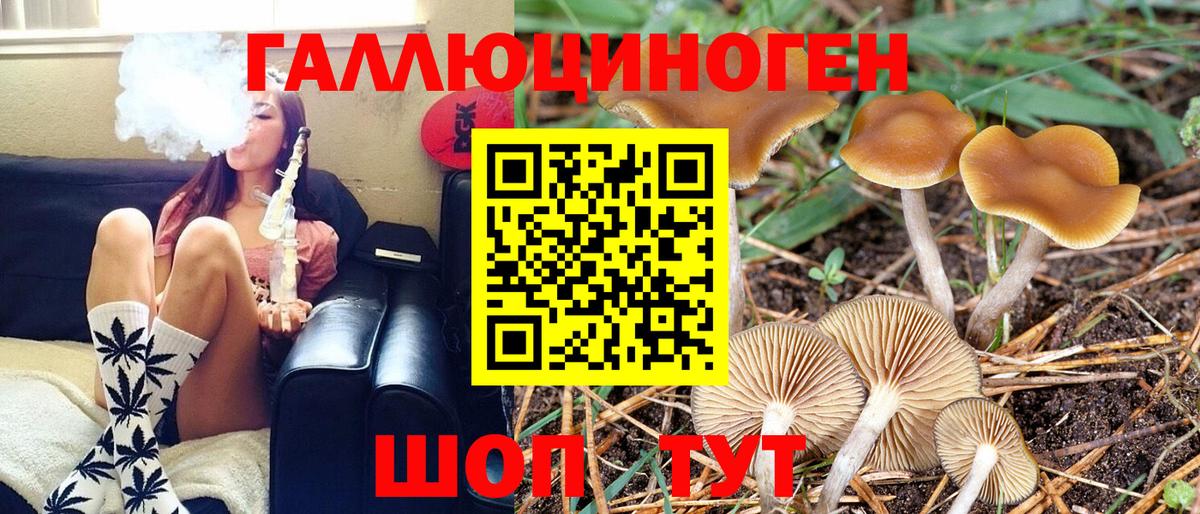 Галлюциногенные грибы мицелий  Черногорск  Псилоцибиновые грибы ЛСД 