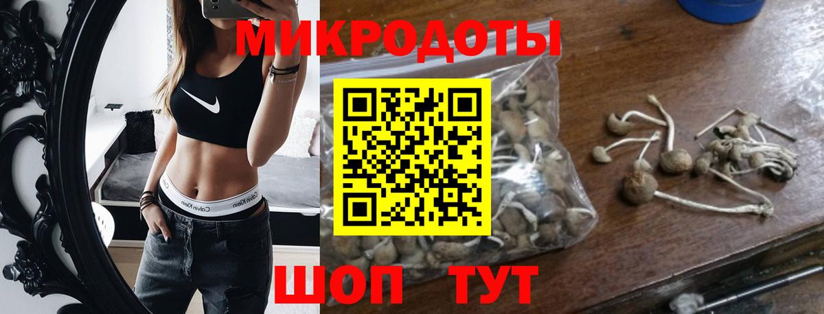 Черногорск  Галлюциногенные грибы Psilocybe  Галлюциногенные грибы прущие грибы  Вход с VPN 